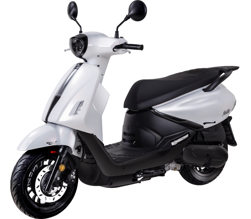 NEW FIDDLE l WH-006U