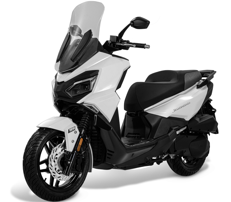 JOYRIDE 300 l WH-8028P